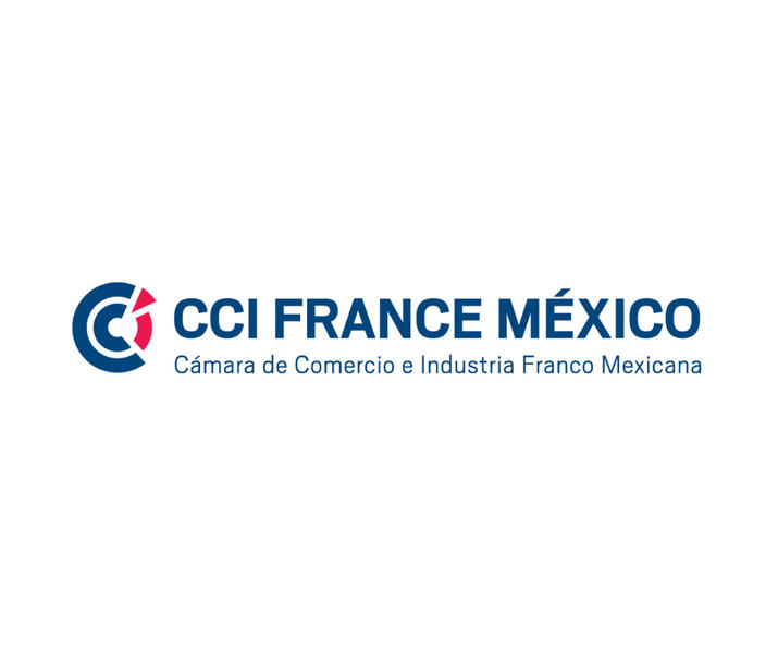 CCI France